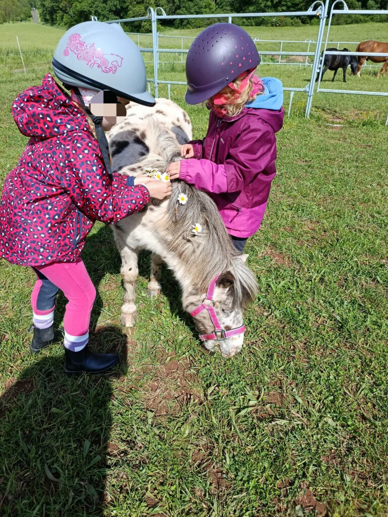 IMG_20260526_104542
