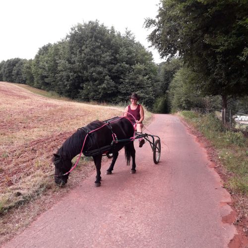 Maike_2